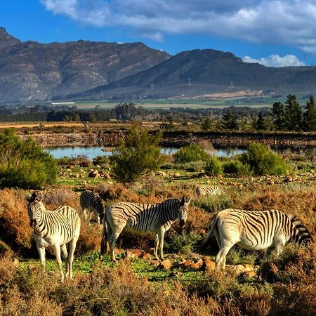 Welbedacht Game & Nature Reserve Tulbagh Exterior photo