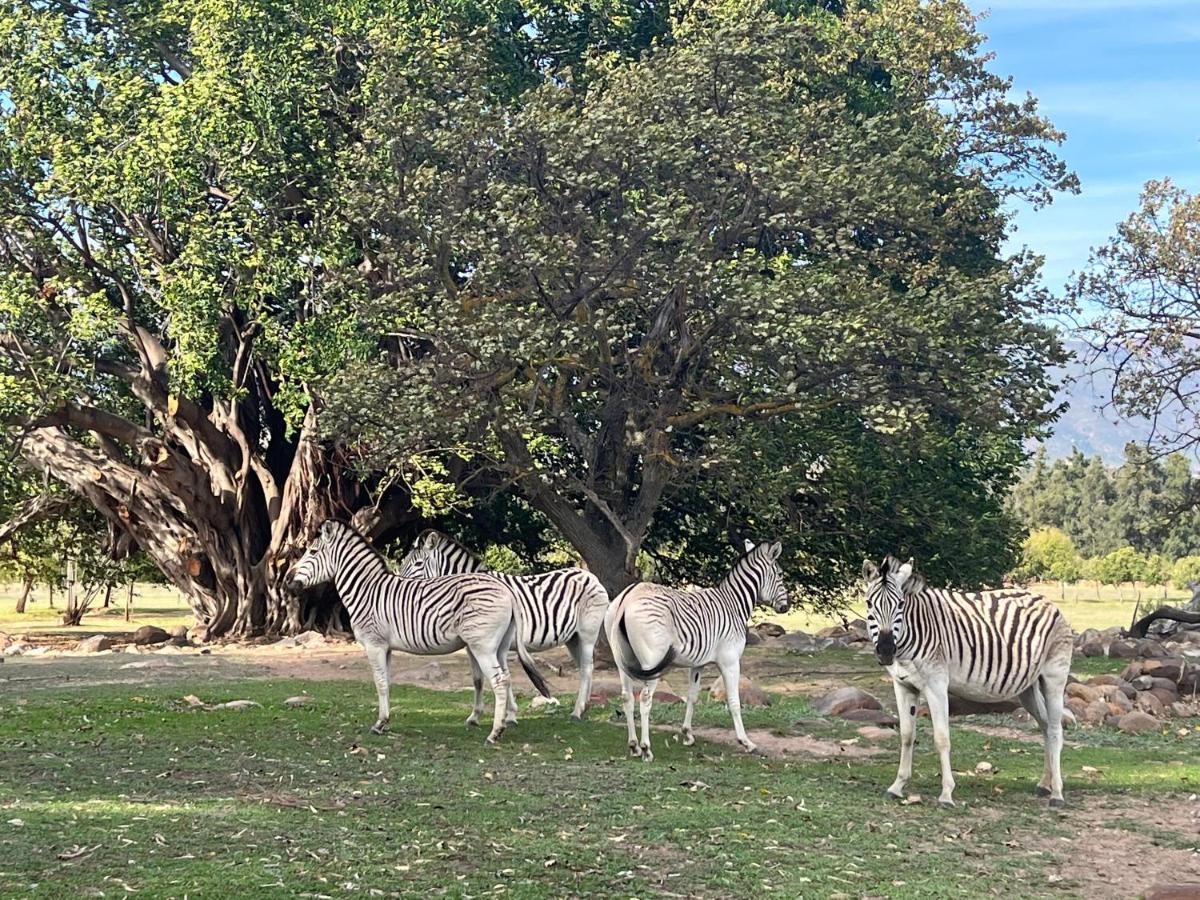 Welbedacht Game & Nature Reserve Tulbagh Exterior photo