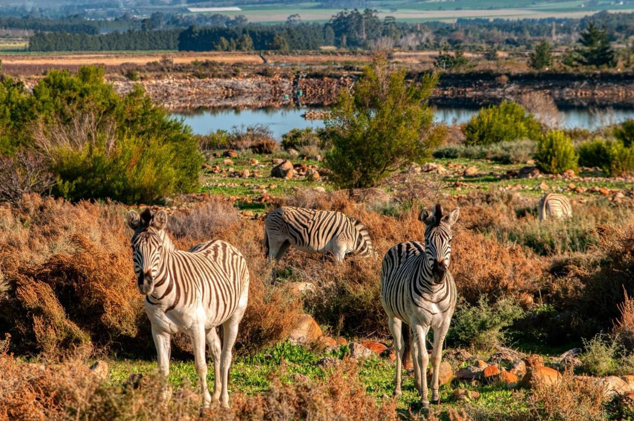 Welbedacht Game & Nature Reserve Tulbagh Exterior photo