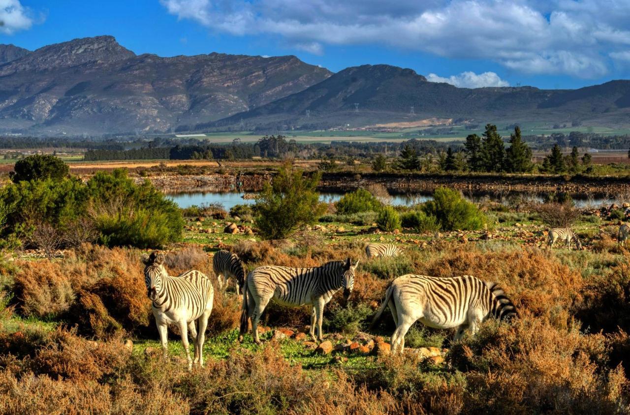 Welbedacht Game & Nature Reserve Tulbagh Exterior photo