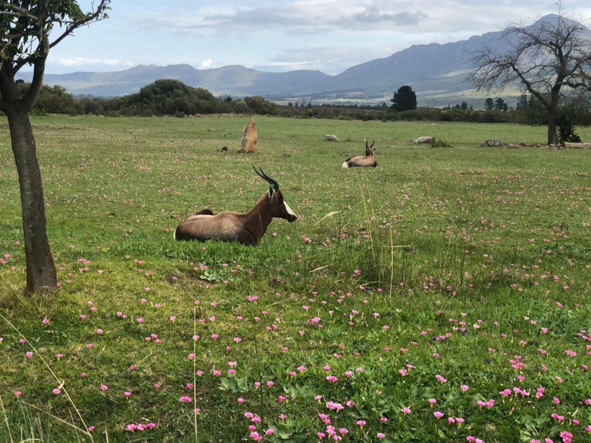 Welbedacht Game & Nature Reserve Tulbagh Exterior photo